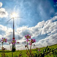 Piano di Azione per l'Energia Sostenibile (P.A.E.S.)