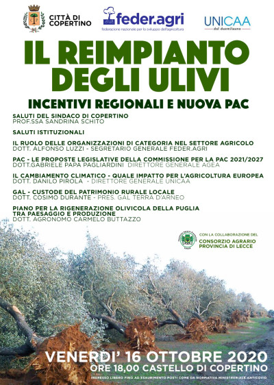 IL REIMPIANTO DEGLI ULIVI INCENTIVI REGIONALI E NUOVA PAC - CONVEGNO 