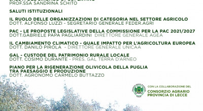 IL REIMPIANTO DEGLI ULIVI INCENTIVI REGIONALI E NUOVA PAC - CONVEGNO 