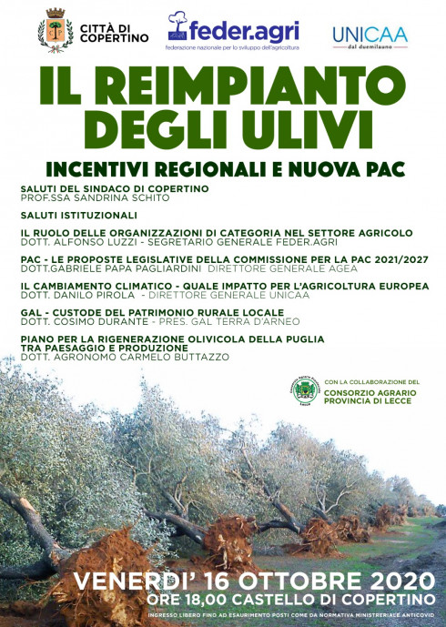 IL REIMPIANTO DEGLI ULIVI INCENTIVI REGIONALI E NUOVA PAC - CONVEGNO