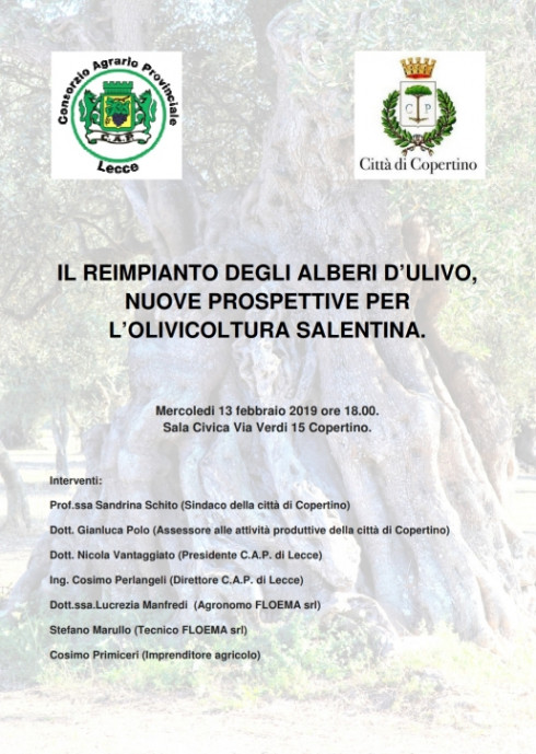 IL REIMPIANTO DEGLI ALBERI D'ULIVO NUOVE PROSPETTIVE PER L'OLIVICOLTURA SALENTINA