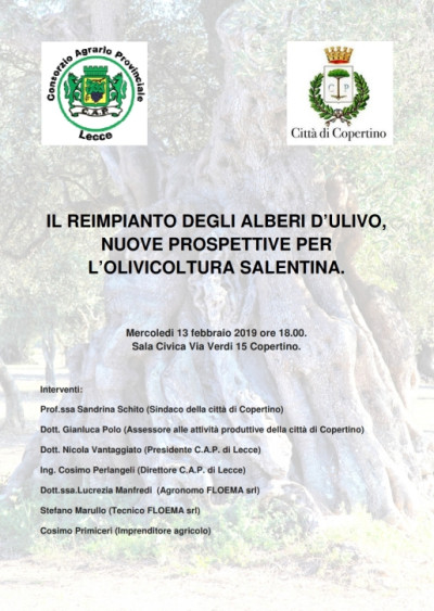 IL REIMPIANTO DEGLI ALBERI D'ULIVO NUOVE PROSPETTIVE PER L'OLIVICOLTURA SALEN...