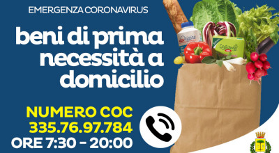 Consegna di generi di prima necessità e farmaci per anziani e cittadin...